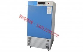 LHS-250SC智能型恒温恒湿箱